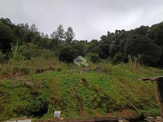Sítio e chácara venda em Região Geográfica Imediata de Bento Gonçalves, Pinto Bandeira