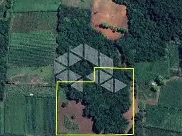 Sítio e chácara venda em Região Geográfica Imediata de Bento Gonçalves, Pinto Bandeira