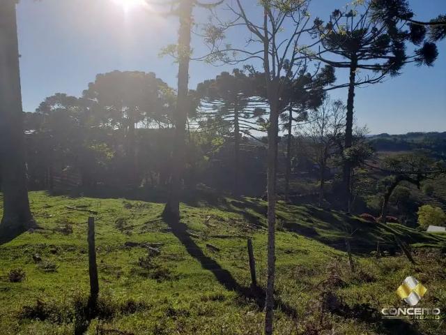 Sítio e chácara venda em Região Geográfica Imediata de Bento Gonçalves, Pinto Bandeira