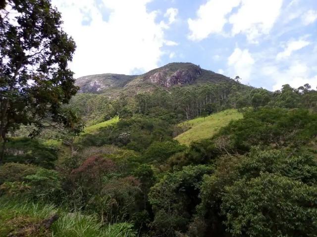 Sítio e chácara venda em Região Imediata de Guaratinguetá, Região Metropolitana do Vale do Paraíba e Litoral Norte