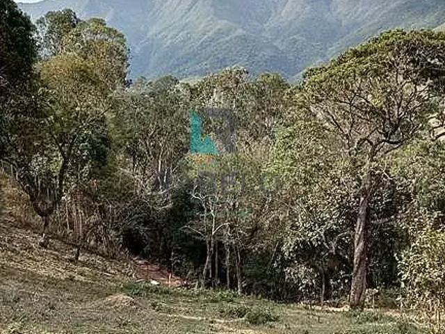 Sítio e chácara venda em Região Imediata de Guaratinguetá, Região Metropolitana do Vale do Paraíba e Litoral Norte