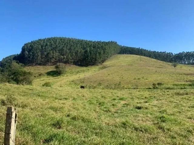 Sítio e chácara venda em Região Imediata de Bragança Paulista, Piracaia