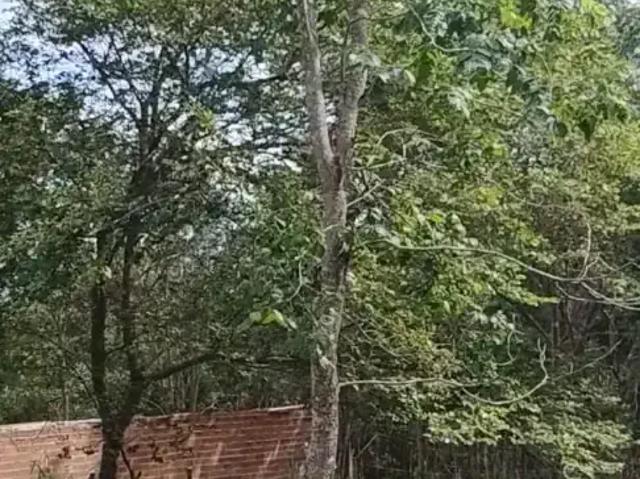 Sítio e chácara venda em Região Geográfica Imediata de Piracanjuba, Piracanjuba