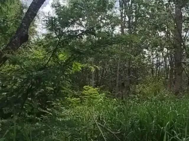 Sítio e chácara venda em Região Geográfica Imediata de Piracanjuba, Piracanjuba