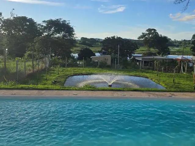 Sítio e chácara venda em Região Geográfica Imediata de Piracanjuba, Piracanjuba