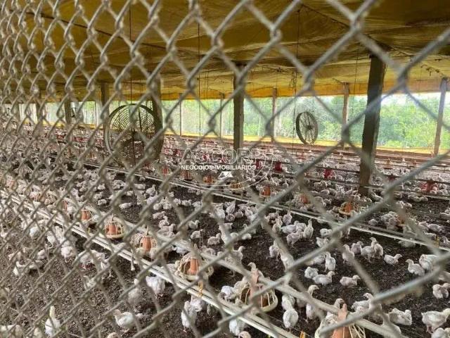 Sítio e chácara venda em Região Imediata de Piracicaba, Região Metropolitana de Piracicaba
