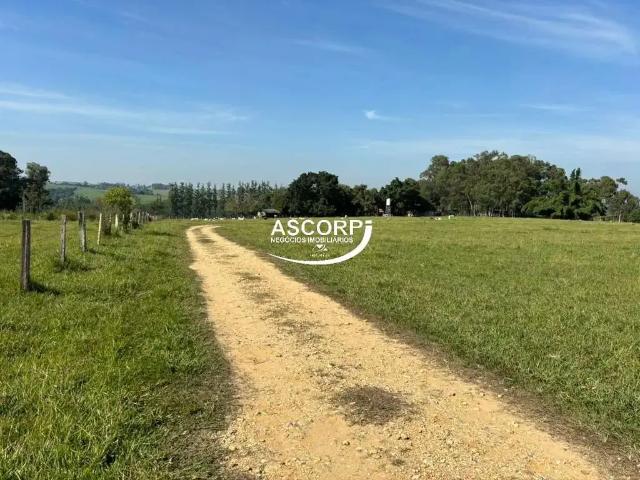 Sítio e chácara venda em Região Imediata de Piracicaba, Região Metropolitana de Piracicaba