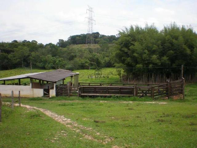 Sítio e chácara venda em Região Imediata de Piracicaba, Região Metropolitana de Piracicaba