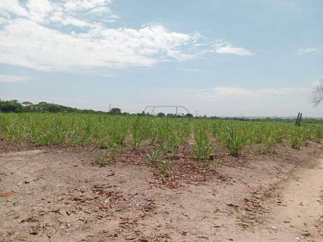 Sítio e chácara venda em Região Imediata de Piracicaba, Região Metropolitana de Piracicaba
