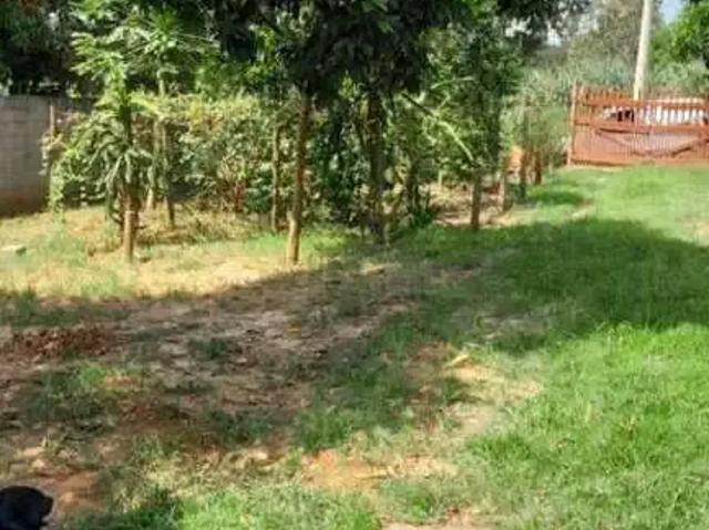 Sítio e chácara venda em Região Imediata de Piracicaba, Região Metropolitana de Piracicaba