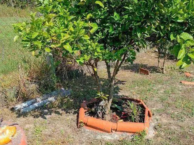 Sítio e chácara venda em Região Imediata de Piracicaba, Região Metropolitana de Piracicaba