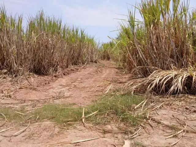 Sítio e chácara venda em Região Imediata de Piracicaba, Região Metropolitana de Piracicaba
