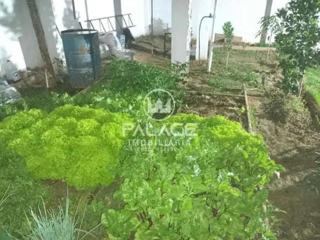 Sítio e chácara venda em Região Imediata de Piracicaba, Região Metropolitana de Piracicaba