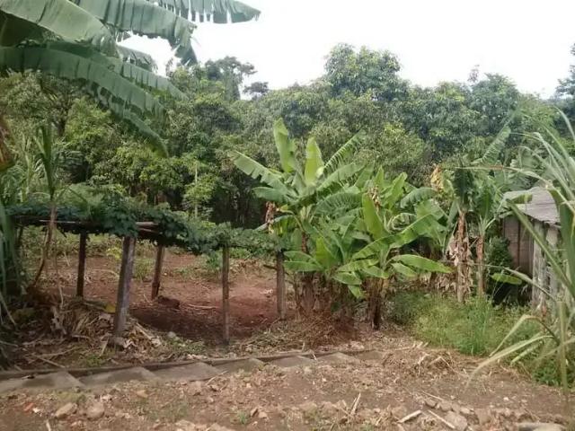 Sítio e chácara venda em Região Imediata de Piracicaba, Região Metropolitana de Piracicaba