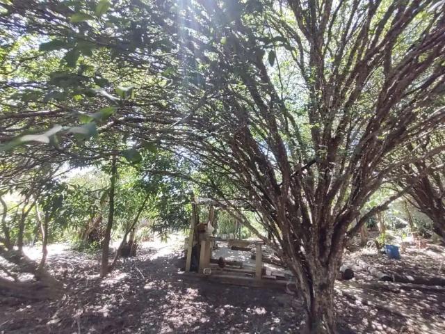 Sítio e chácara venda em Região Imediata de Piracicaba, Região Metropolitana de Piracicaba