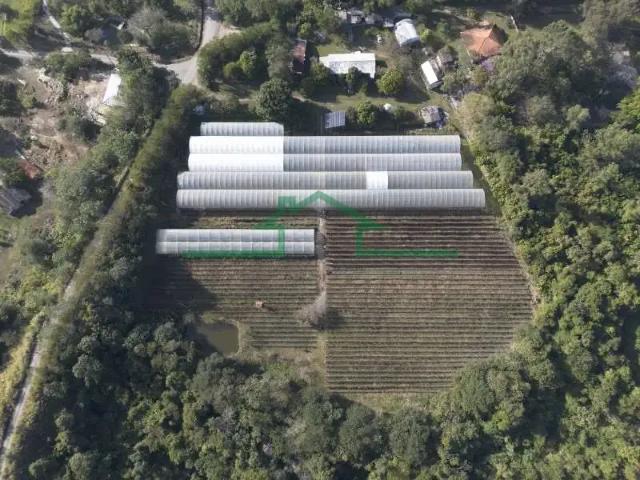Sítio e chácara venda em Região Imediata de Piracicaba, Região Metropolitana de Piracicaba