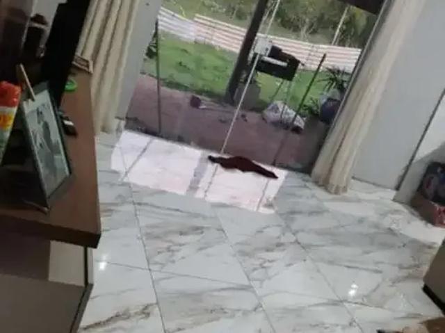 Sítio e chácara venda em Região Imediata de Piracicaba, Região Metropolitana de Piracicaba