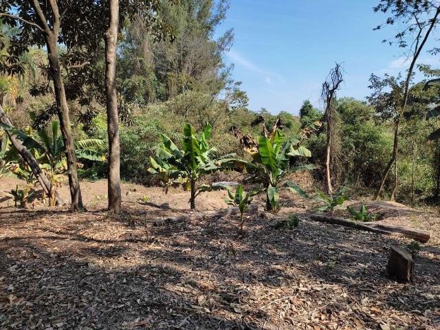 Sítio e chácara venda em Região Imediata de Piracicaba, Região Metropolitana de Piracicaba