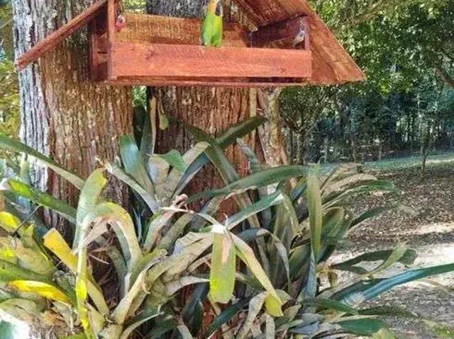 Sítio e chácara venda em Região Geográfica Imediata de Volta Redonda-Barra Mansa, Piraí