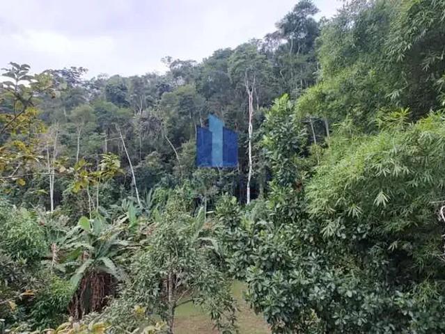 Sítio e chácara venda em Região Geográfica Imediata de Volta Redonda-Barra Mansa, Piraí