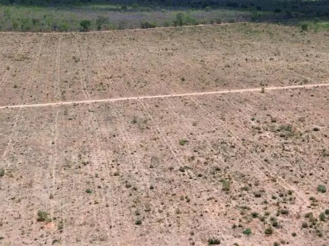 Sítio e chácara venda em Região Geográfica Imediata de Pirapora, Pirapora