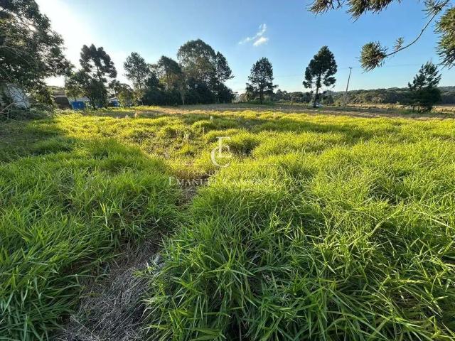 Sítio e chácara venda em Região Geográfica Imediata de Curitiba, Região Metropolitana de Curitiba