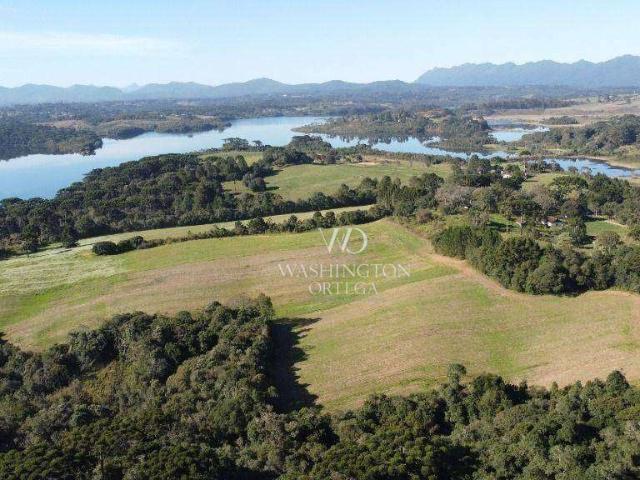 Sítio e chácara venda em Região Geográfica Imediata de Curitiba, Região Metropolitana de Curitiba