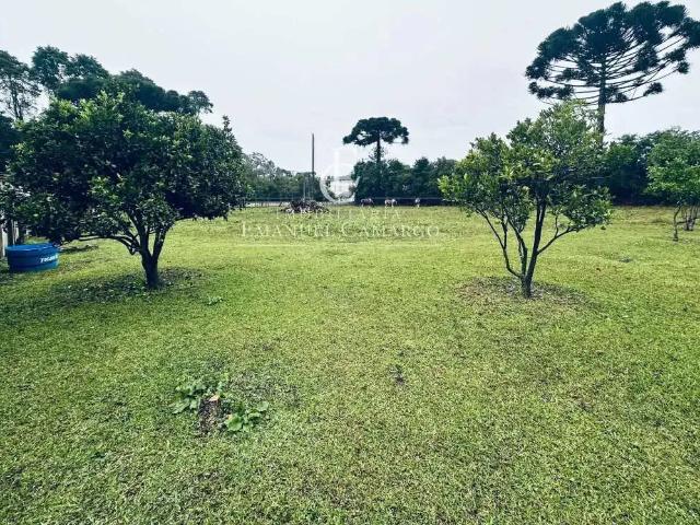 Sítio e chácara venda em Região Geográfica Imediata de Curitiba, Região Metropolitana de Curitiba