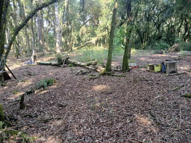 Sítio e chácara venda em Piraquara, Região Geográfica Intermediária de Curitiba