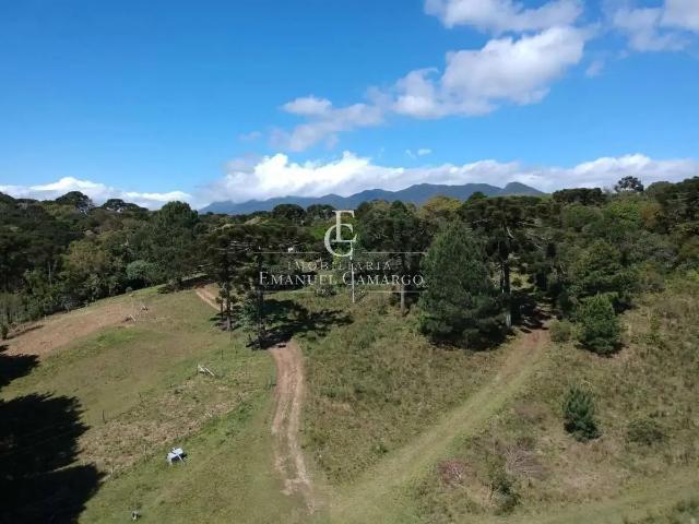 Sítio e chácara venda em Região Geográfica Imediata de Teresina, Região Integrada de Desenvolvimento da Grande Teresina