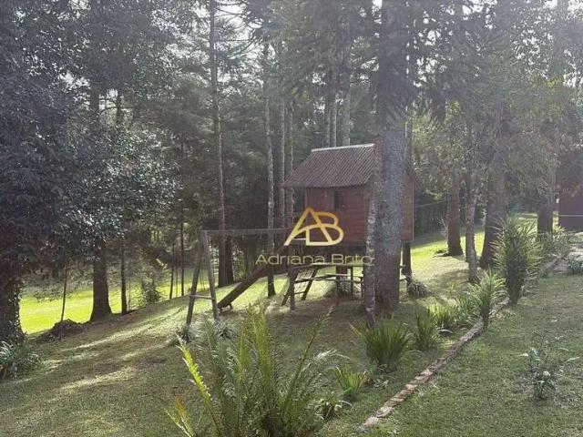 Sítio e chácara venda em Região Geográfica Imediata de Curitiba, Região Metropolitana de Curitiba