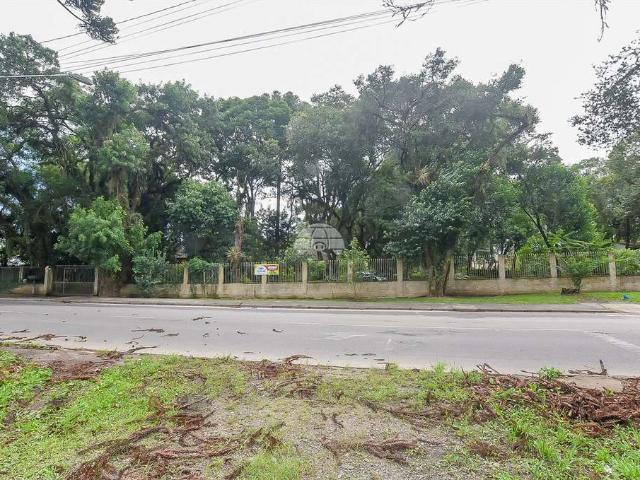Sítio e chácara venda em Região Geográfica Imediata de Curitiba, Região Metropolitana de Curitiba