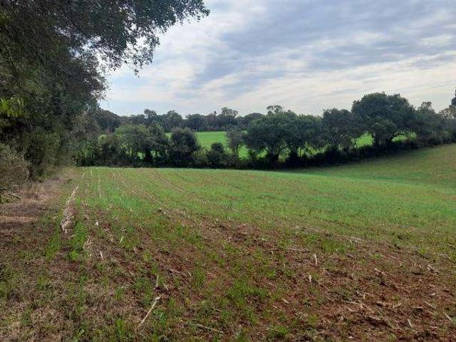 Sítio e chácara venda em Região Geográfica Imediata de Curitiba, Região Metropolitana de Curitiba
