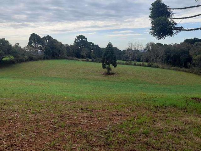 Sítio e chácara venda em Região Geográfica Imediata de Curitiba, Região Metropolitana de Curitiba