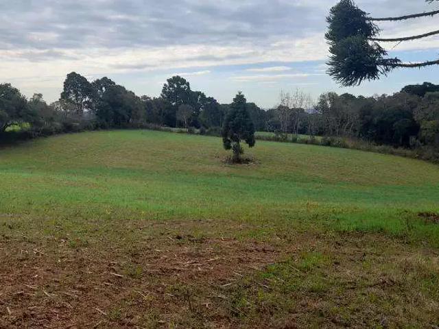 Sítio e chácara venda em Piraquara, Região Geográfica Intermediária de Curitiba