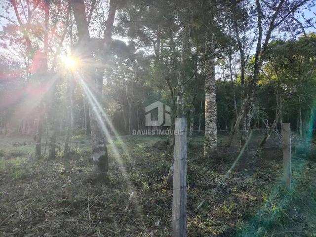 Sítio e chácara venda em Região Geográfica Imediata de Curitiba, Região Metropolitana de Curitiba
