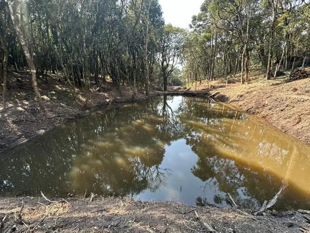 Sítio e chácara venda em Região Geográfica Imediata de Curitiba, Região Metropolitana de Curitiba