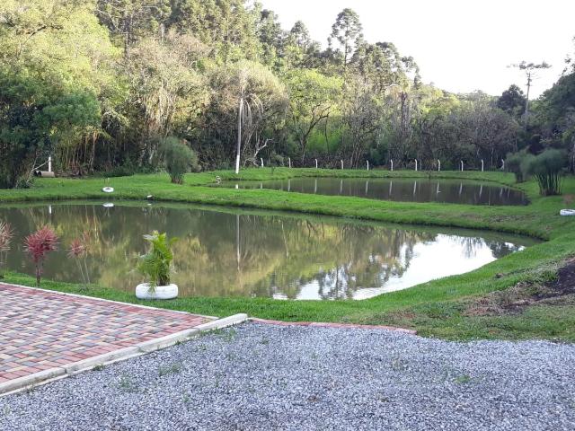 Sítio e chácara venda em Piraquara, Região Geográfica Intermediária de Curitiba