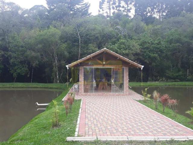 Sítio e chácara venda em Piraquara, Região Geográfica Intermediária de Curitiba
