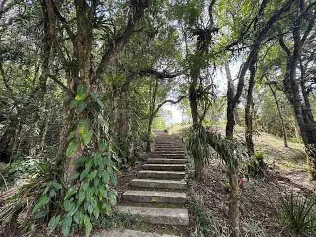 Sítio e chácara venda em Região Geográfica Imediata de Curitiba, Região Metropolitana de Curitiba