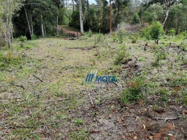 Sítio e chácara venda em Região Geográfica Imediata de Curitiba, Região Metropolitana de Curitiba