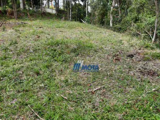 Sítio e chácara venda em Região Geográfica Imediata de Curitiba, Região Metropolitana de Curitiba