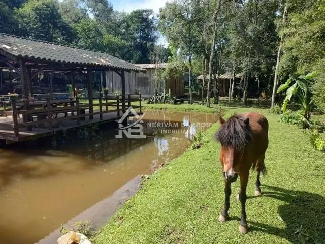 Sítio e chácara venda em Região Geográfica Imediata de Curitiba, Região Metropolitana de Curitiba