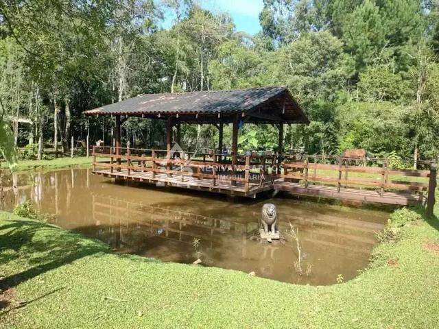 Sítio e chácara venda em Região Geográfica Imediata de Curitiba, Região Metropolitana de Curitiba