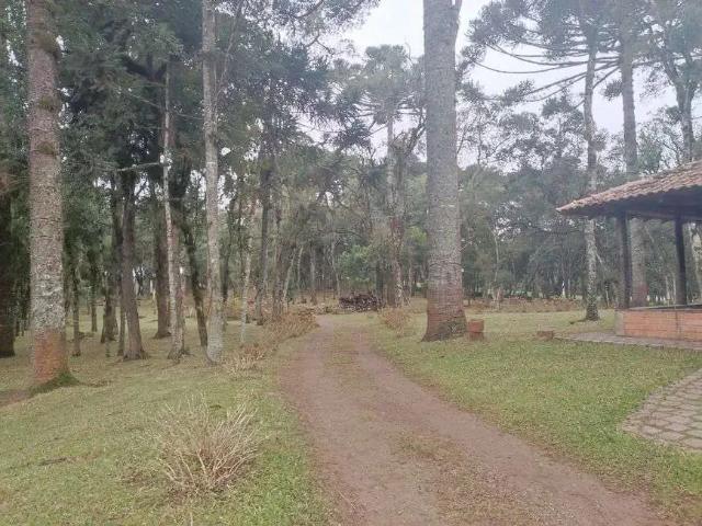 Sítio e chácara venda em Região Geográfica Imediata de Curitiba, Região Metropolitana de Curitiba