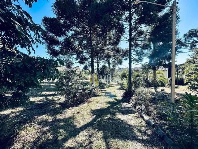 Sítio e chácara venda em Região Geográfica Imediata de Curitiba, Região Metropolitana de Curitiba