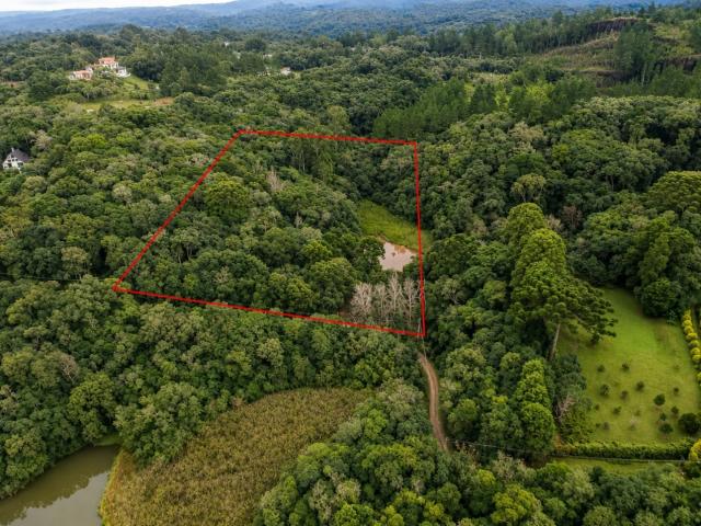 Sítio e chácara venda em Região Geográfica Imediata de Curitiba, Região Metropolitana de Curitiba