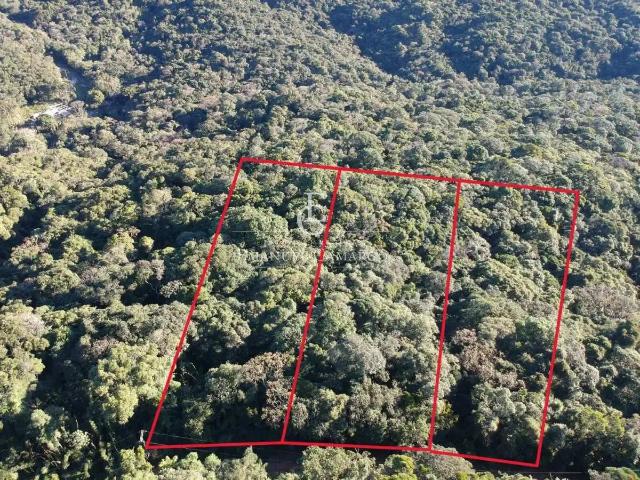 Sítio e chácara venda em Região Geográfica Imediata de Curitiba, Região Metropolitana de Curitiba