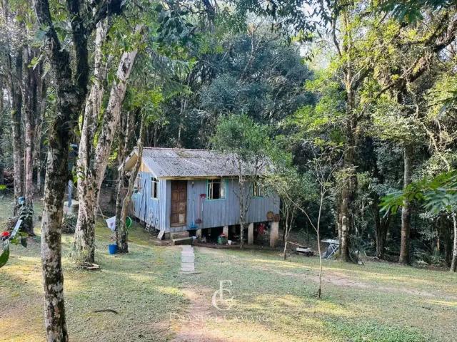 Sítio e chácara venda em Região Geográfica Imediata de Curitiba, Região Metropolitana de Curitiba