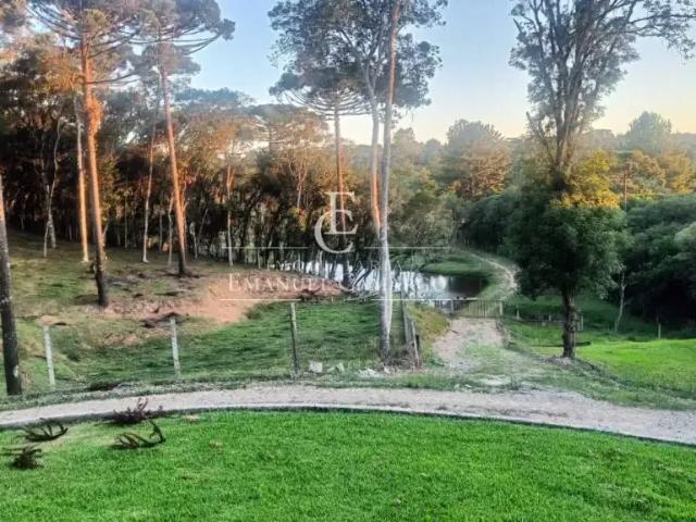 Sítio e chácara venda em Região Geográfica Imediata de Curitiba, Região Metropolitana de Curitiba